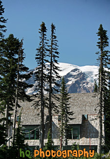 Mt. Rainier Behind Paradise Inn