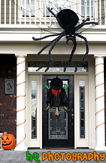 Halloween Spider & Witch