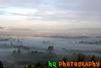 Fog Covering Valley