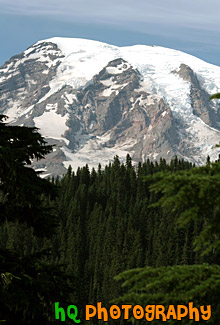 Close Up Mount Rainier & Trees