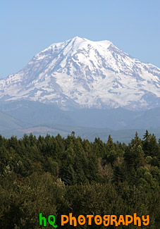 North Side of Mt. Rainier