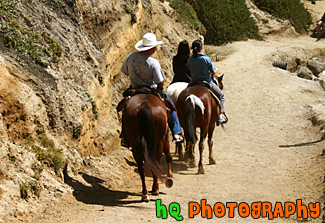 Horseback Riding at Half Moon Bay