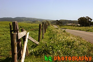 Marin County Country Road & Fence