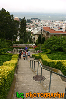 Running Stairs in the Presidio