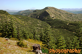 Mt. Baker & Gifford Pinchot National Forest