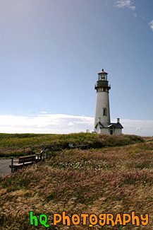 Bench & Yaquina Head Lighthouse