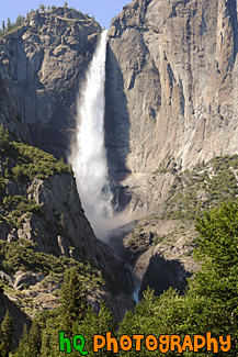 Yosemite Falls & Trees