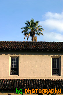 Palm Tree & Santa Clara Mission