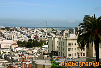 San Francisco Buildings & Bay Bridge