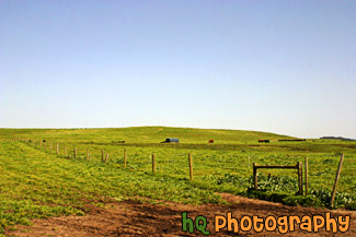 California Farmland