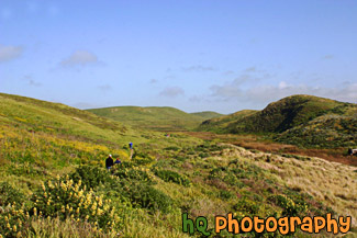 People Hiking on Green Trail