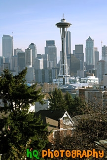 Seattle Skycrapers & Space Needle