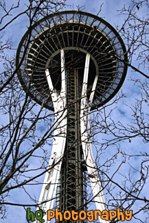 Space Needle & Tree Branches