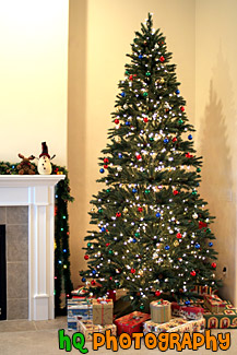 Christmas Tree & Presents