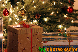 Christmas Presents & Tree Up Close