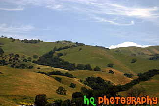 Green Hill, Trees, & Blue Sky