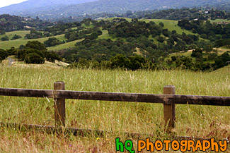 Country Fence & Green Fields