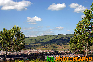 East San Jose Landscape & Houses