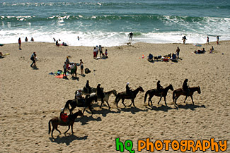 Horse Riding on the Beach