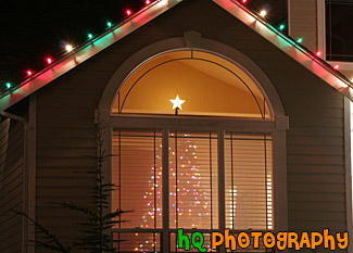 Christmas Tree Seen Through Window