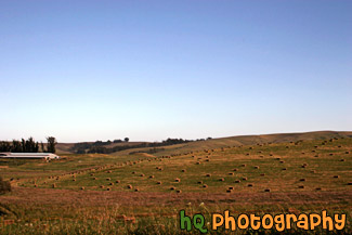 Farm With Hay Stacks