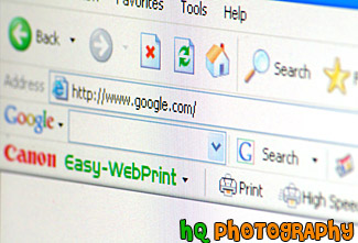 Google URL on Web Browser