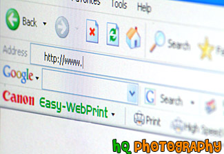 Address Bar on Web Browser