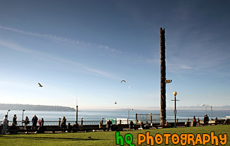 Seattle Waterfront Park & Seagulls