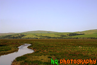 Marin County Fieldland and Hills