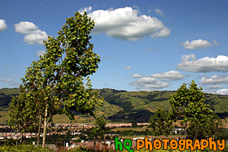 Blue Sky, Green Hills, & Trees in San Jose