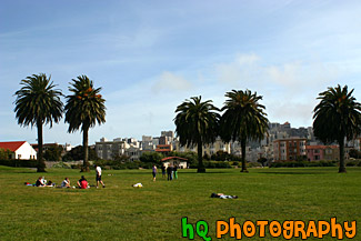 People Enjoying a San Francisco Park