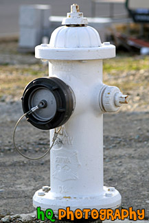 White Fire Hydrant