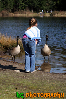 Girl Feeding Geese