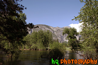 Lake Pond & Trees in Yosemite