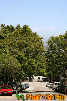 Road, Blue Sky & Leafy Trees