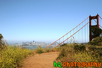 Golden Gate Bridge & Wildflowers on Trail