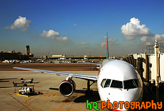 Airplane at the Terminal