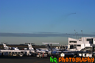 Seattle Airport