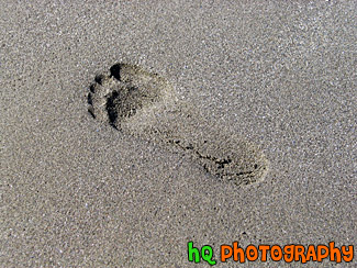 Footprint in Sand