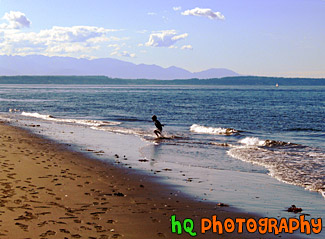 Kid & Beach