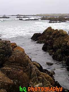 Pebble Beach 17 Mile Scenic Route