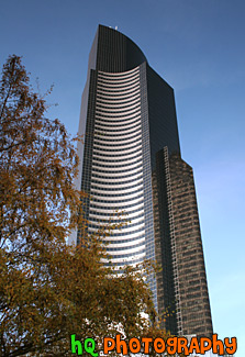 Leaves & Office Building