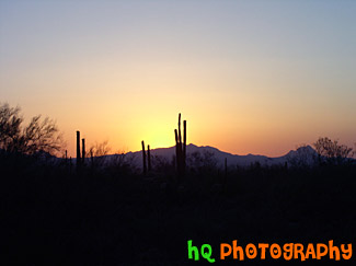 Sunset in Arizona