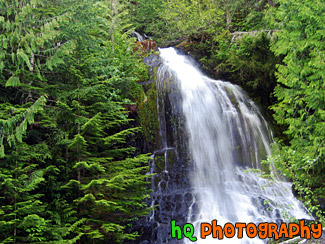 Falls Creek, Mt. Rainier National Forest