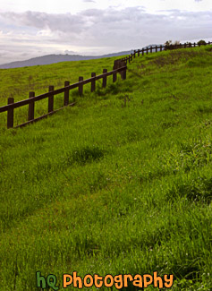 Bright Green Grass & Fence in Palo Alto