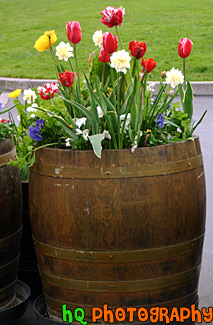 Barrel of Flowers