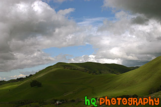 Green Hills of San Jose