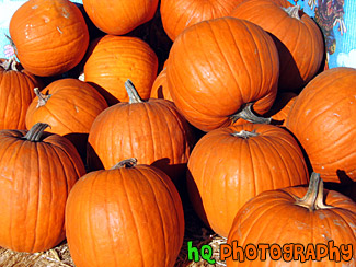 Pumpkins for Halloween