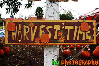 Harvest Time Sign