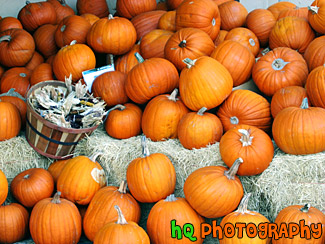 Basket & Pumpkins